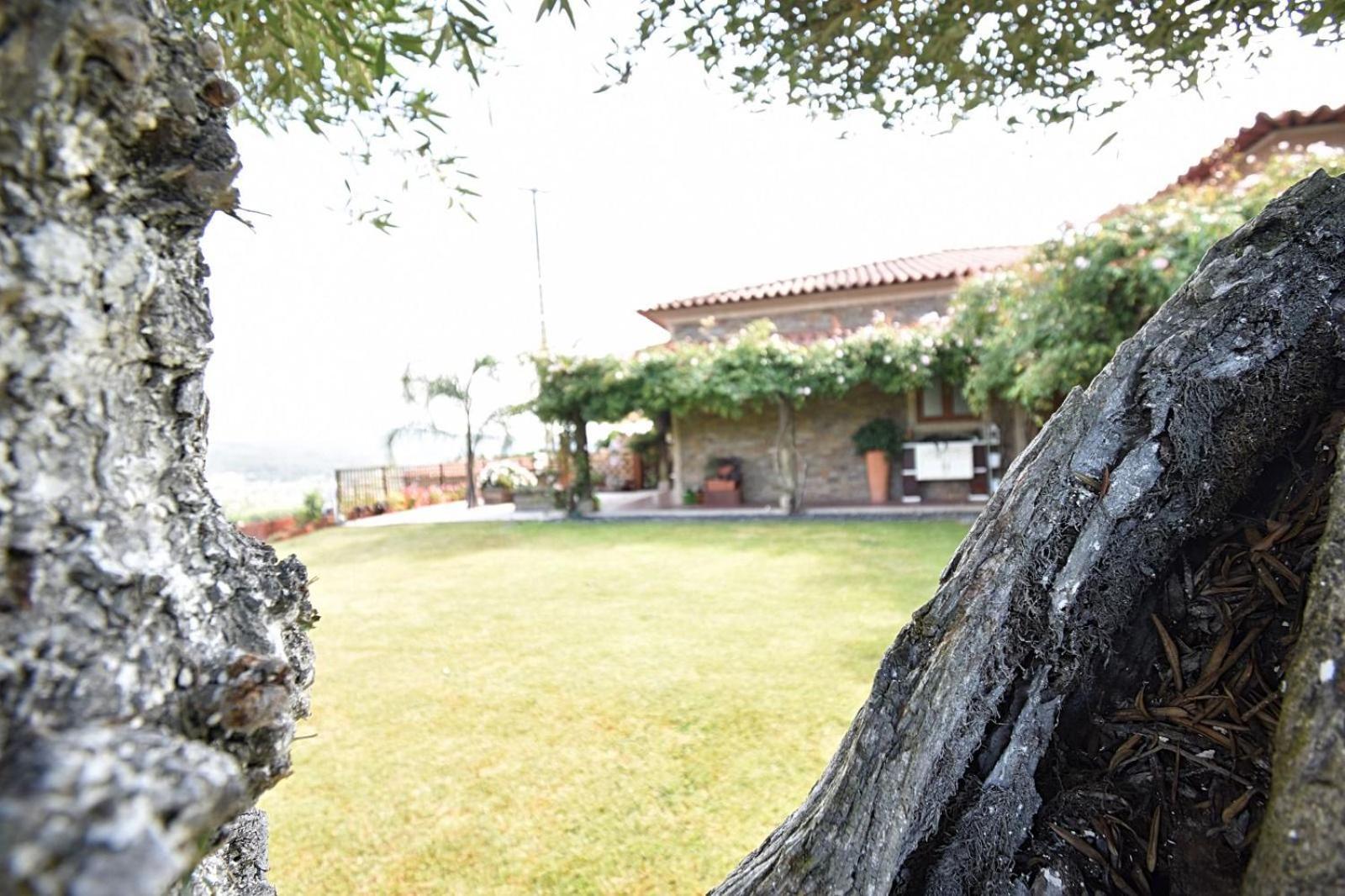 Casa De Ryvyo * Penafiel
